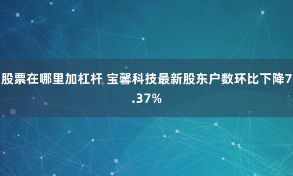 股票在哪里加杠杆 宝馨科技最新股东户数环比下降7.37%