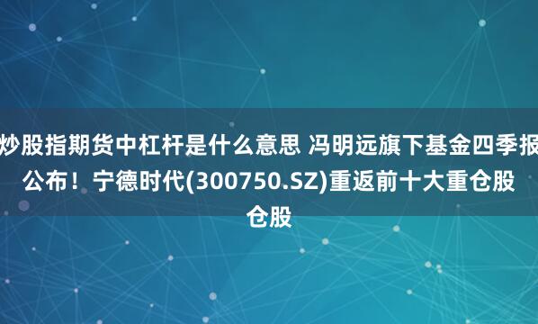 炒股指期货中杠杆是什么意思 冯明远旗下基金四季报公布！宁德时代(300750.SZ)重返前十大重仓股