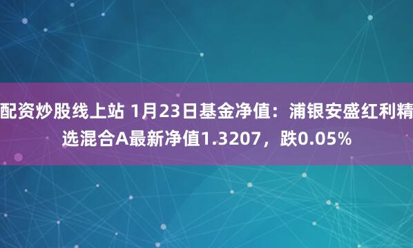 配资炒股线上站 1月23日基金净值：浦银安盛红利精选混合A最新净值1.3207，跌0.05%