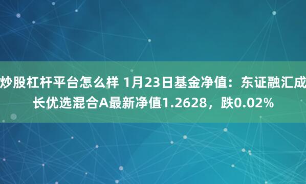 炒股杠杆平台怎么样 1月23日基金净值：东证融汇成长优选混合A最新净值1.2628，跌0.02%