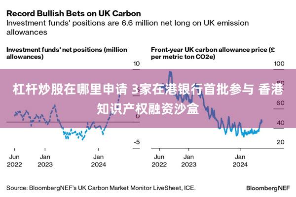 杠杆炒股在哪里申请 3家在港银行首批参与 香港知识产权融资沙盒