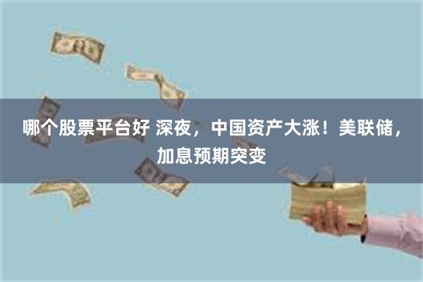 哪个股票平台好 深夜，中国资产大涨！美联储，加息预期突变